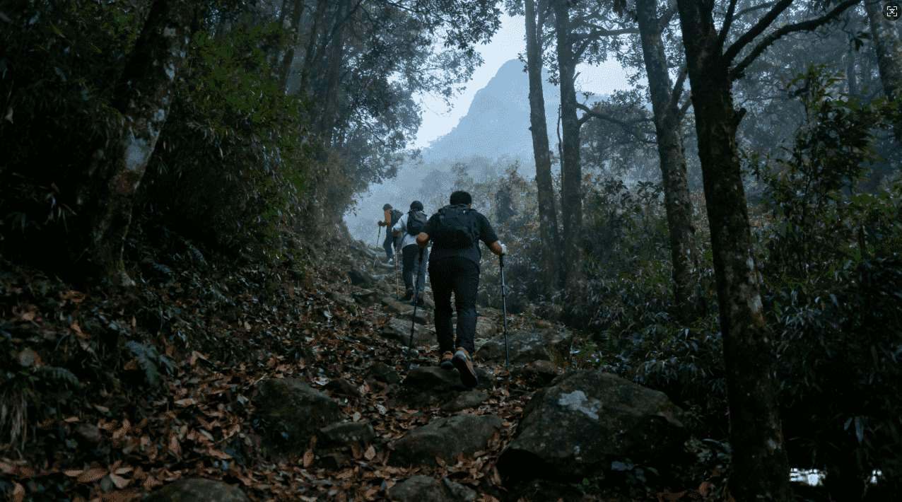 黑洞加速器与迅雷完美结合使用的详细操作指南